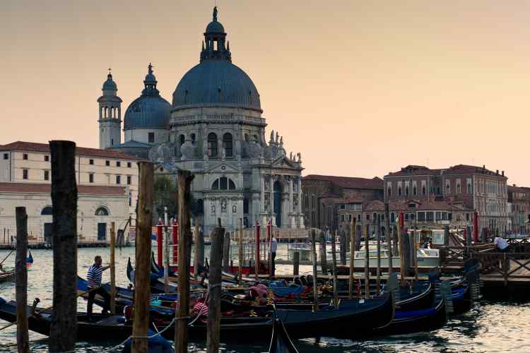 Venice Art Biennale