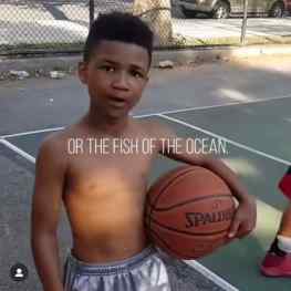 Monday Motivation 🦈