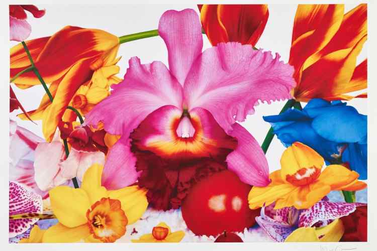 Who is Marc Quinn? - Contemporary Artist, Sculptor, Painter