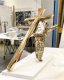 Small Leap of Faith, back angle, in Klibansky's studio - Leap of Faith (bronze), 2016 by Joseph Klibansky