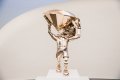 Reflections of Truth II (polished bronze), 2016 by Joseph Klibansky