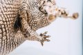 Happily Ever After (bronze), 2018 by Joseph Klibansky