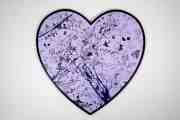 My Heart Is Yours (lilac/black, ultramarine blue splash), 2020 by Joseph Klibansky