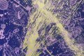 Villains In My Head (ultramarine blue/pink, gold splash), 2022 by Joseph Klibansky