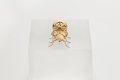 The Little Things (yellow gold), 2022 by Joseph Klibansky