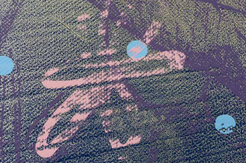 Sky Flowers - wide (gold, blue), 2022 by Joseph Klibansky