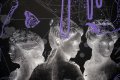 Brighter Then The Sun (black/purple), 2022 by Joseph Klibansky